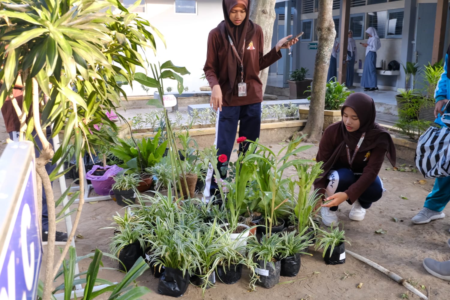 Langkah Hijau di Masa MPLS
